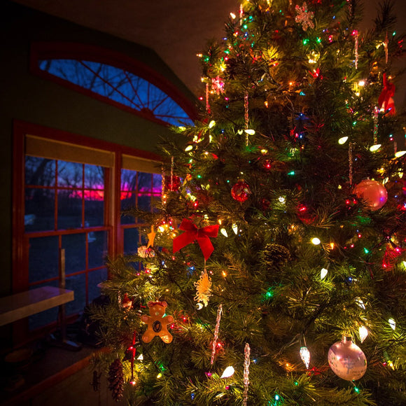 Christmas tree. ©2016 Steve Ziegelmeyer