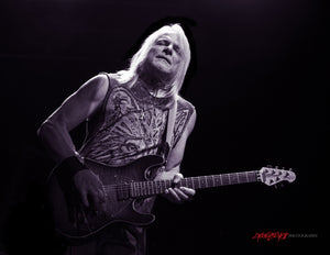 Steve Morse. ©2017 Steve Ziegelmeyer