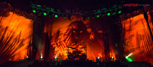 Disturbed stage. ©2016 Steve Ziegelmeyer