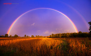 Double rainbow over soybean field ©2014 Steve Ziegelmeyer