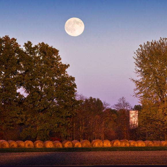 Fall moon over field. ©2010 Steve Ziegelmeyer