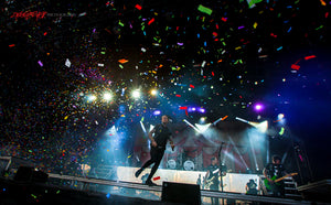 Falling in Reverse. ©2015 Steve Ziegelmeyer