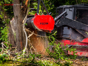 Industrial bullhog cutting down tree. Fecon. ©2014 Steve Ziegelmeyer