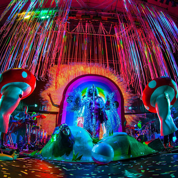 Flaming Lips. ©2014  Steve Ziegelmeyer