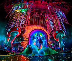 Flaming Lips. ©2014  Steve Ziegelmeyer