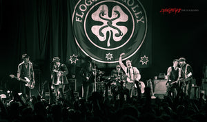 Flogging Molly. ©2013 Steve Ziegelmeyer