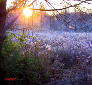 Frosty sunrise. ©2016 Steve Ziegelmeyer
