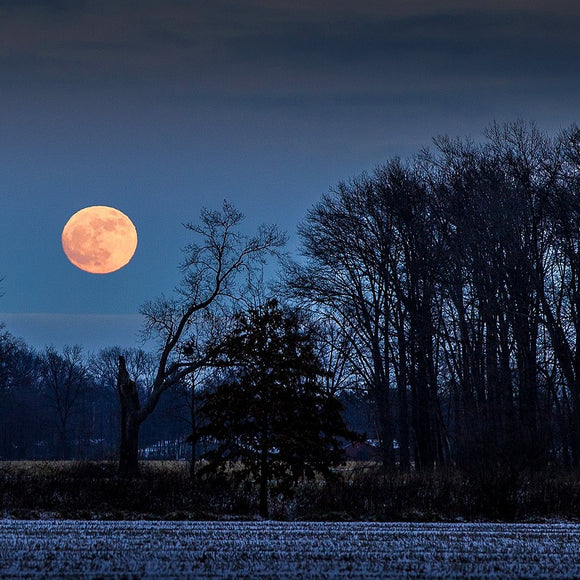 Full moon over snowy field. ©2012 Steve Ziegelmeyer