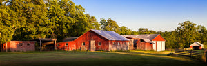 Red barn. ©2014 Steve Ziegelmeyer