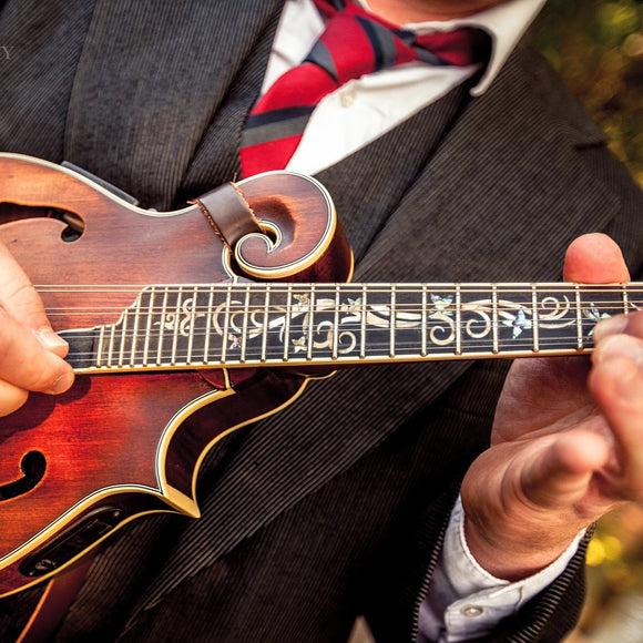 Mandolin player. Fred Daniell. ©2014  Steve Ziegelmeyer