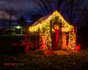 Christmas greenhouse. ©2020 Steve Ziegelmeyer