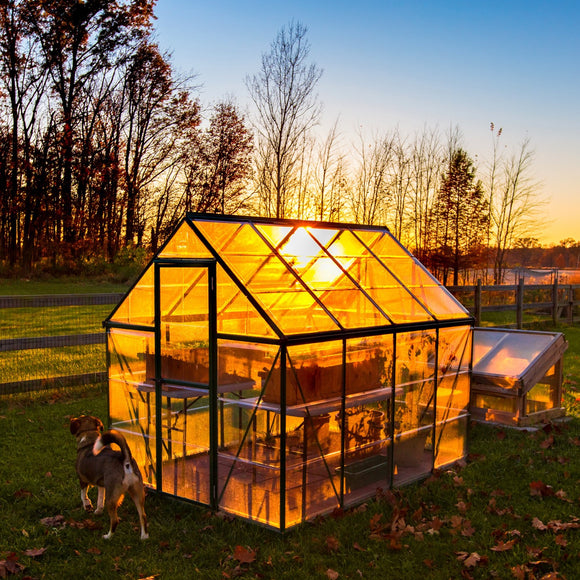 Sunset in the greenhouse. ©2015 Steve Ziegelmeyer