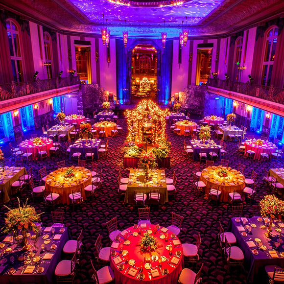 Great Gatsby Gala. Accent On Cincinnati ©2014 Steve Ziegelmeyer