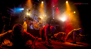 Here Come The Mummies. ©2016 Steve Ziegelmeyer