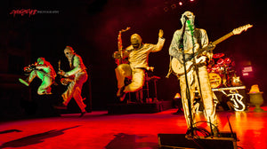 Here Come The Mummies. ©2013 Steve Ziegelmeyer