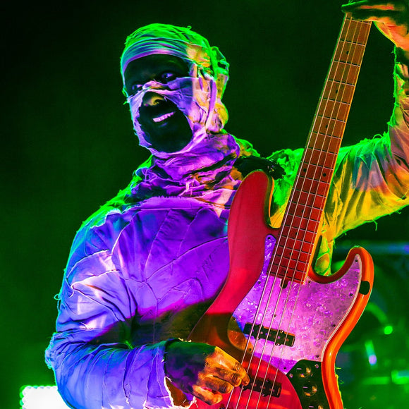 The Pole of Here Come The Mummies. ©2014 Steve Ziegelmeyer