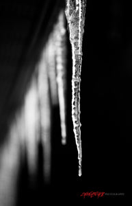 Icicle. ©2010 Steve Ziegelmeyer