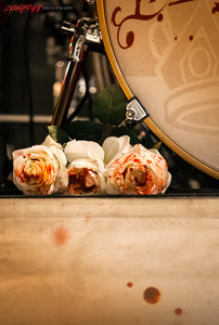 In This Moment. Drum and roses. ©2014 Steve Ziegelmeyer