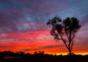 Red sunset. ©2018 Steve Ziegelmeyer
