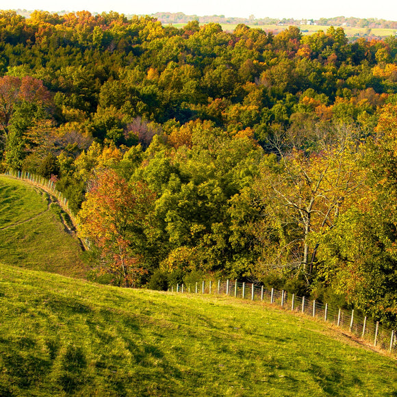 Kentucky hills in the fall. ©2014 Steve Ziegelmeyer