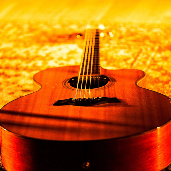 Leo Kottke's guitar. ©2013 Steve Ziegelmeyer