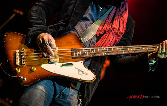 Johnny Colt of Lynyrd Skynyrd. Gibson Thunderbird bass. ©2012 Steve Ziegelmeyer