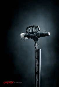 Marilyn Manson mic stand. ©2016 Steve Ziegelmeyer