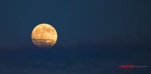 Moon in the clouds. ©2016 Steve Ziegelmeyer