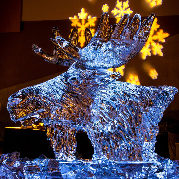 Moose ice sculpture. ©2014 Steve Ziegelmeyer
