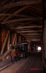 Amish buggy on Moscow covered bridge. Rush County, Indiana. ©2015 Steve Ziegelmeyer