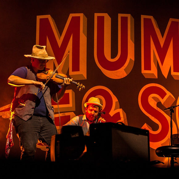 Mumford & Sons musicians. ©2013 Steve Ziegelmeyer