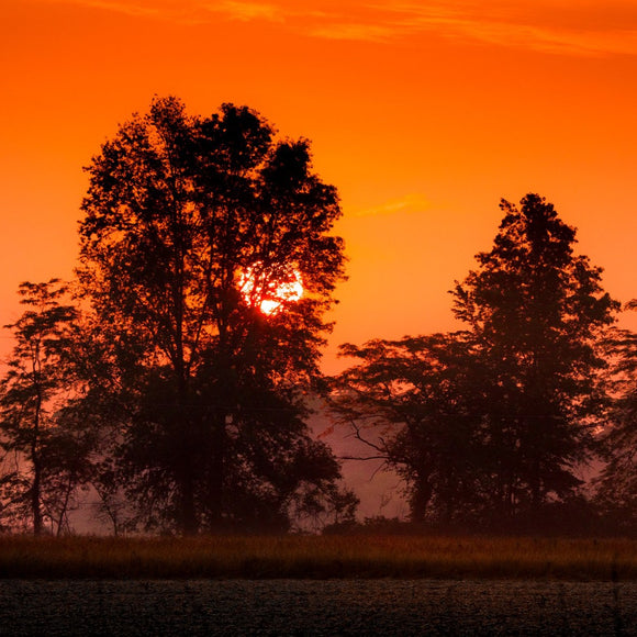 Orange sunrise. ©2013 Steve Ziegelmeyer