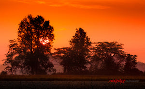 Orange sunrise. ©2013 Steve Ziegelmeyer