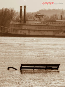 Flooded park. Yeatman's Cove, Cincinnati, Ohio. ©2015 Steve Ziegelmeyer