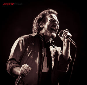 Eddie Vedder of Pearl Jam. ©2014 Steve Ziegelmeyer