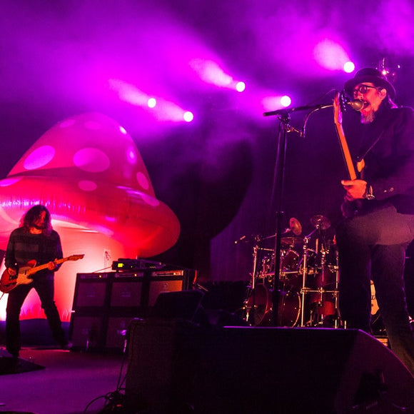 Primus. ©2015 Steve Ziegelmeyer