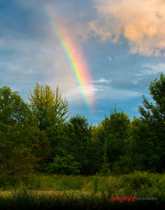 Rainbow through the trees. ©2017 Steve Ziegelmeyer