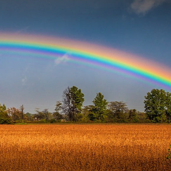 Rainbow over harvest field ©2014 Steve Ziegelmeyer