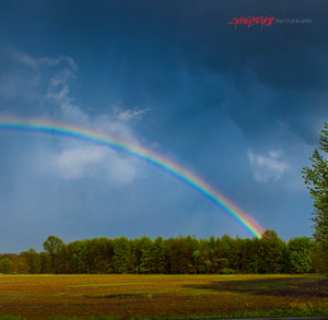 Rainbow over summer field ©2011 Steve Ziegelmeyer