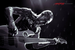 Flea of Red Hot Chili Peppers. ©2017 Steve Ziegelmeyer