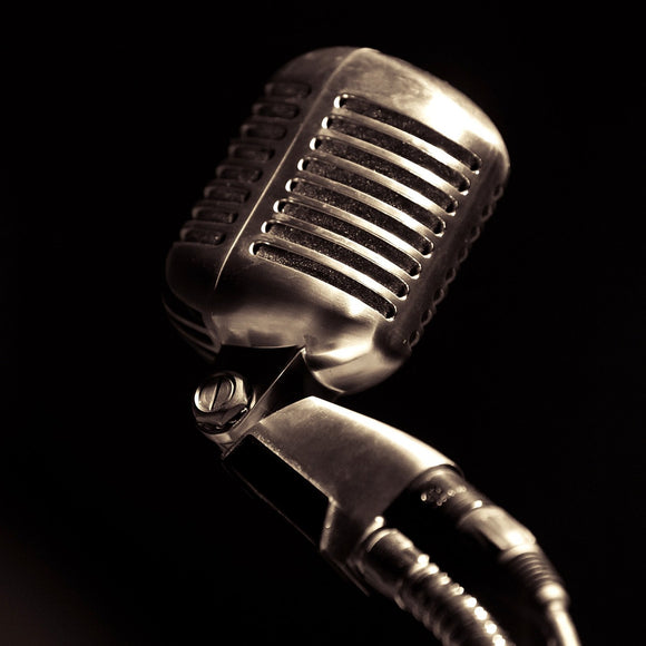 Reverend Horton Heat mic. ©2014 Steve Ziegelmeyer