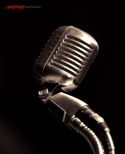 Reverend Horton Heat mic. ©2014 Steve Ziegelmeyer