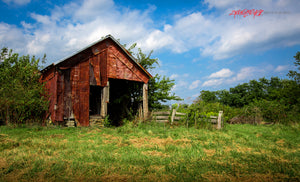 Indiana barn in the summer. ©2017 Steve Ziegelmeyer