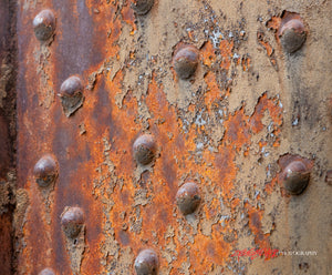 Rusty rivets. ©2010 Steve Ziegelmeyer