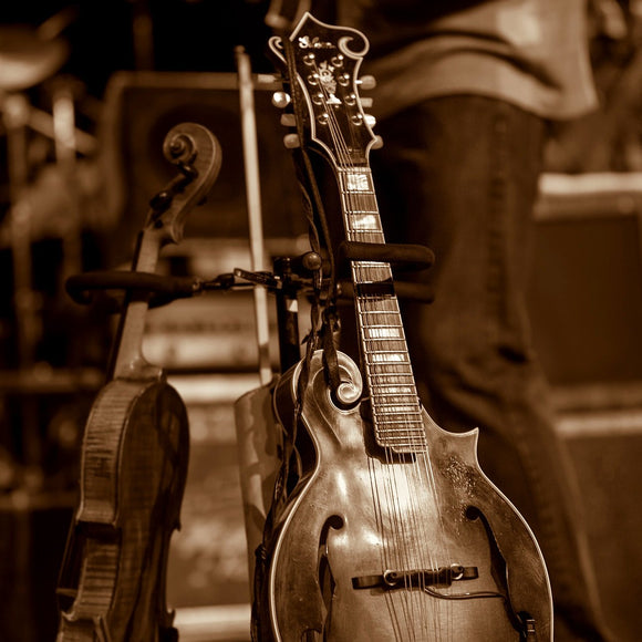 Sam Bush's mandolin. ©2012 Steve Ziegelmeyer