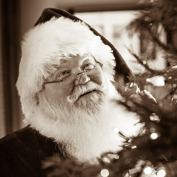 Santa Claus decorating tree. Black & White. ©2017 Steve Ziegelmeyer