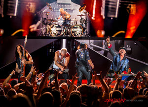 Scorpions. ©2015 Steve Ziegelmeyer