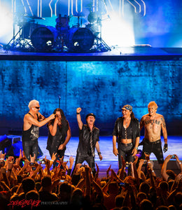 Scorpions. ©2015 Steve Ziegelmeyer