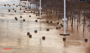Flooded park. Yeatman's Cove, Cincinnati, Ohio. ©2015 Steve Ziegelmeyer