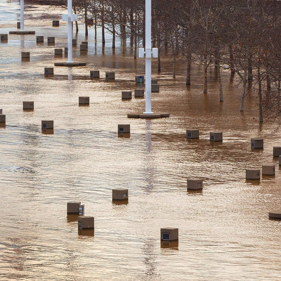 Flooded park. Yeatman's Cove, Cincinnati, Ohio. ©2015 Steve Ziegelmeyer